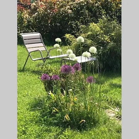 Le Hameau Du Buron - 